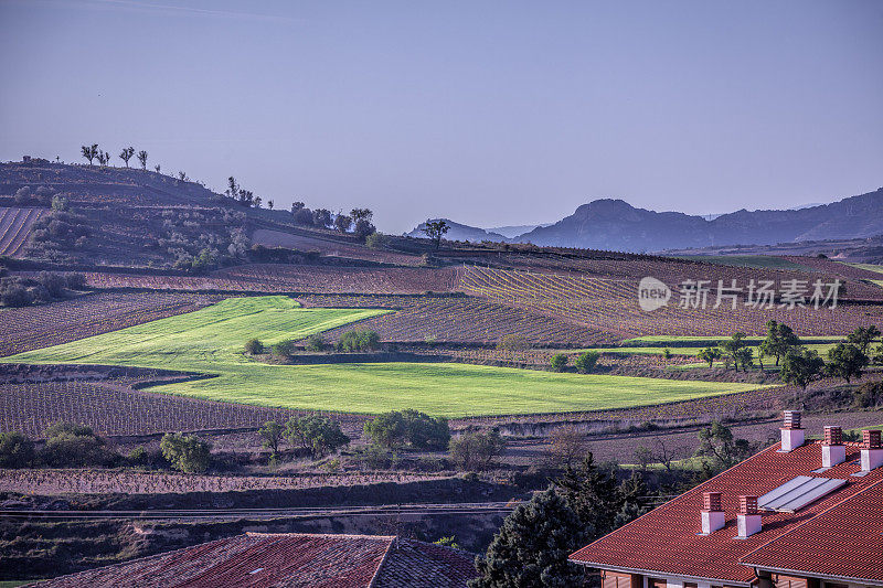 西班牙巴斯克地区里奥哈·阿拉维萨(Rioja Alavesa)春季葡萄园